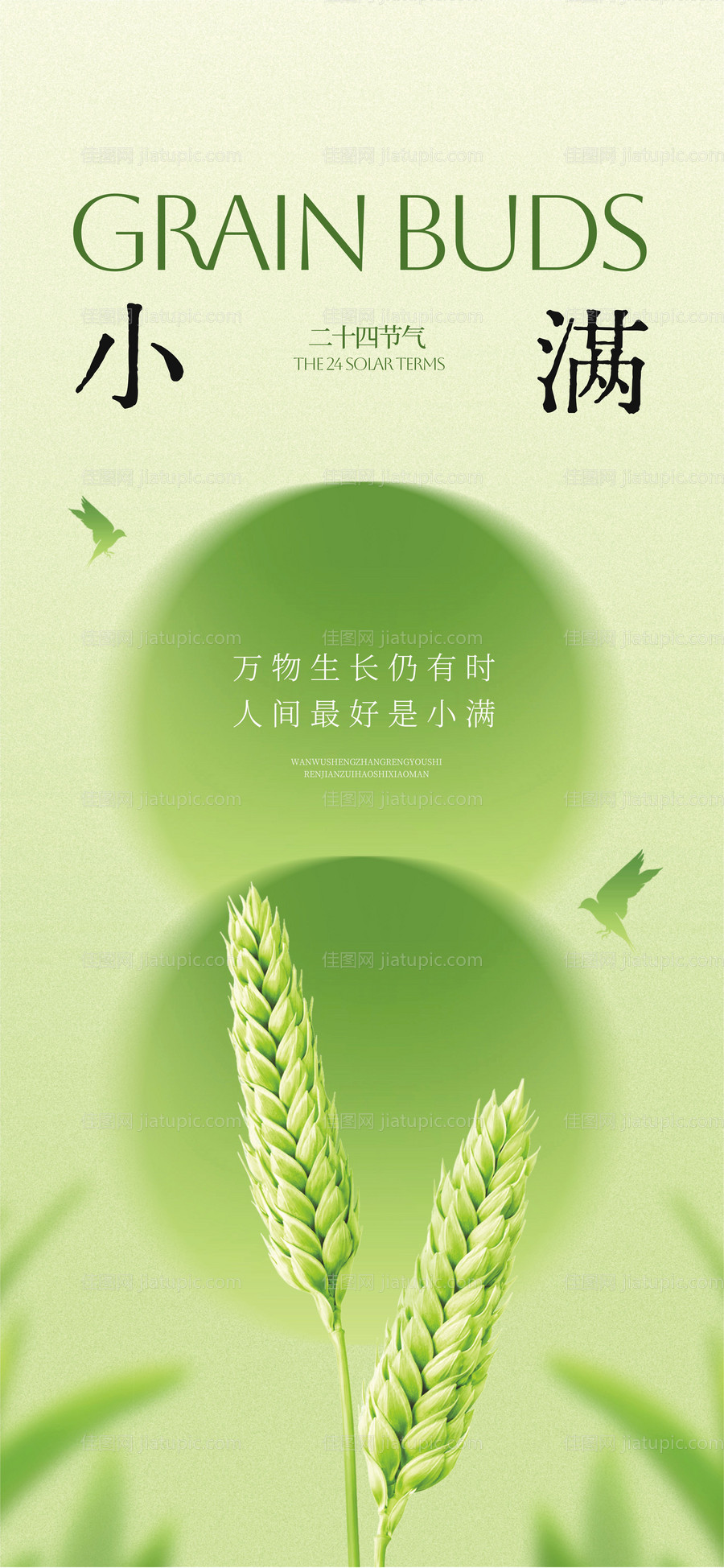 小满-源文件
