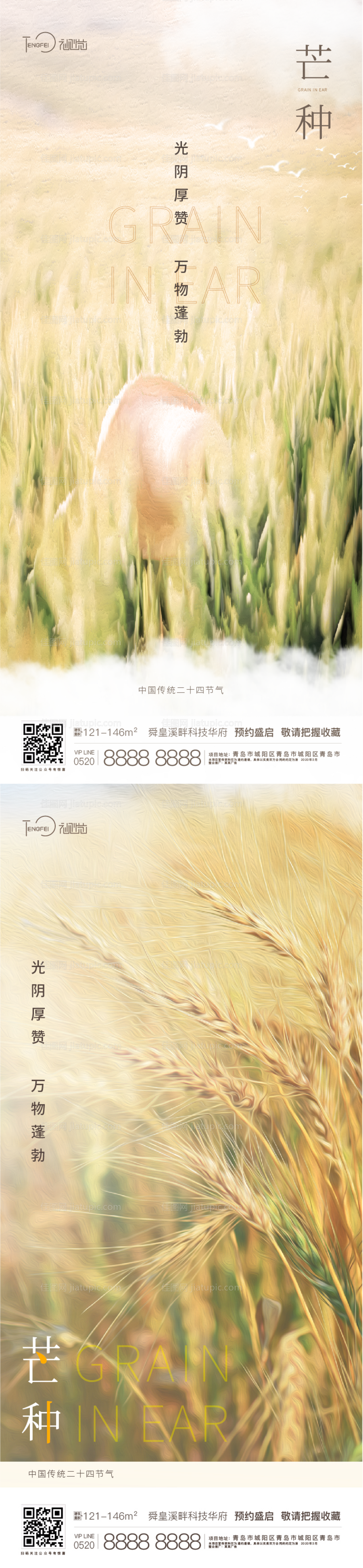 芒种节气系列海报-源文件