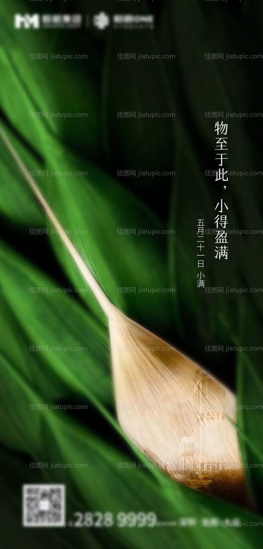 二十四节气小满海报-源文件