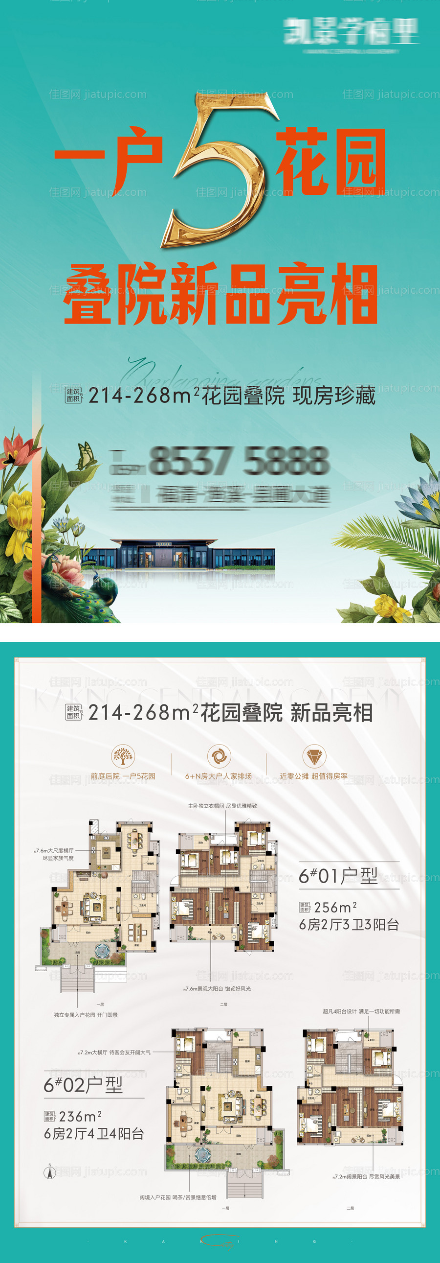 dm单页-源文件
