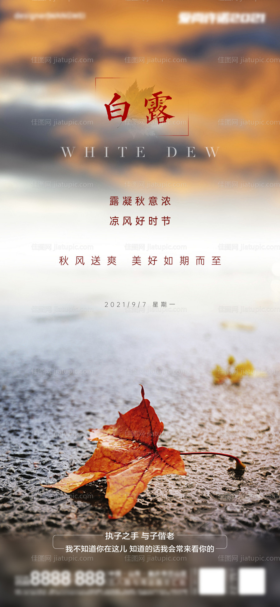 白露-源文件