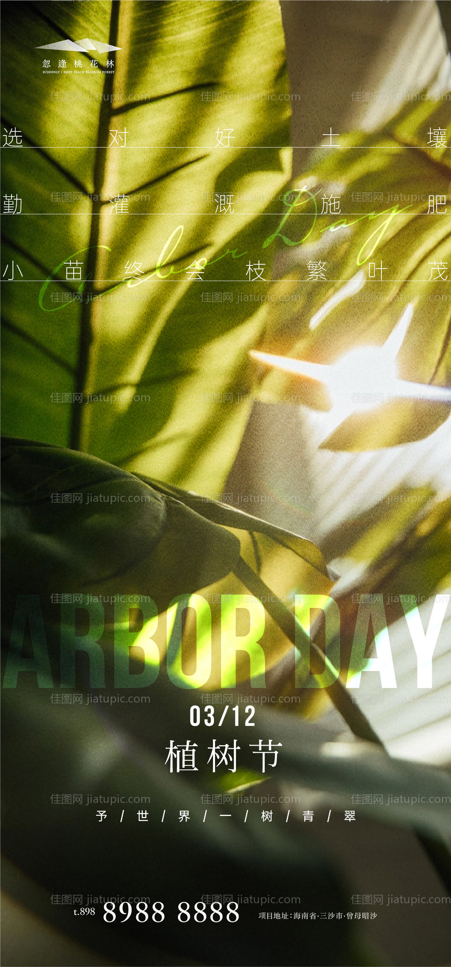 植树节-源文件