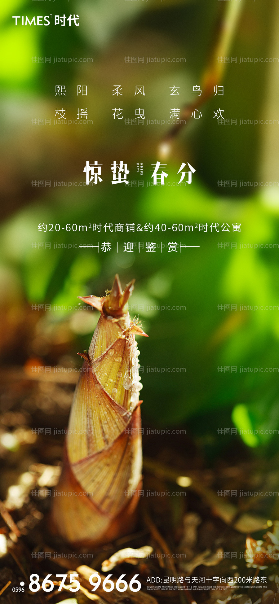 惊蛰春分海报 -源文件
